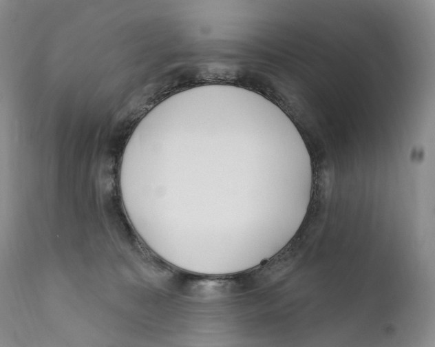 X0000110900323200907161558