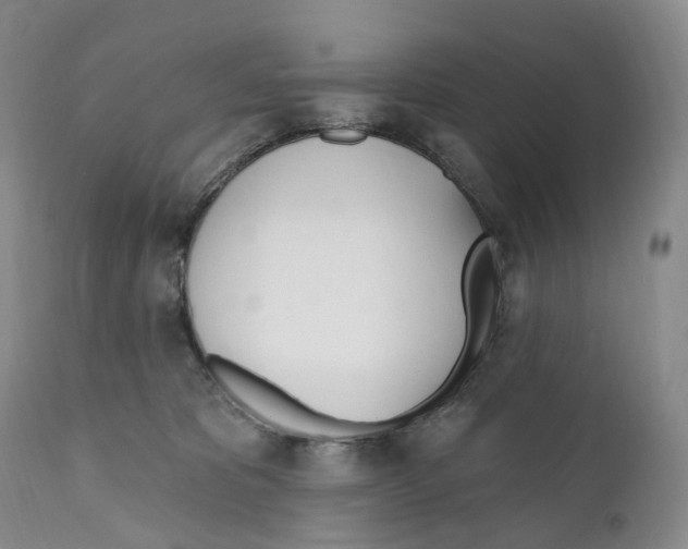 X0000110900325200907161558