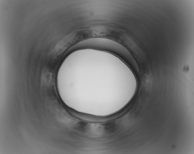 X0000110900327200907161558