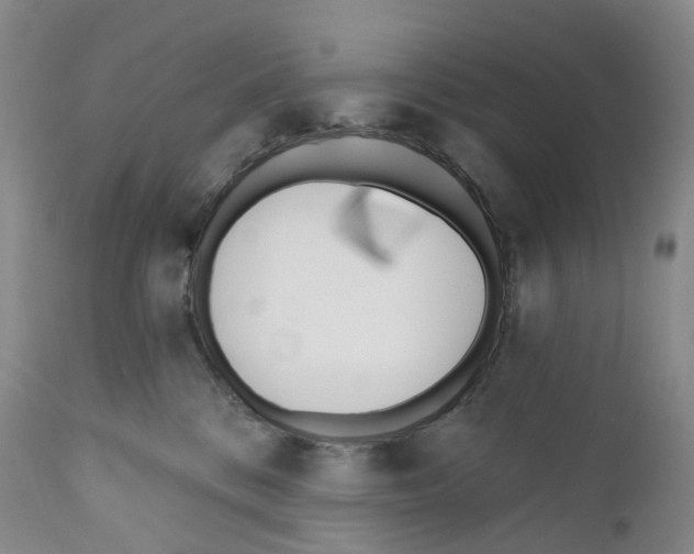 X0000110900328200907161558