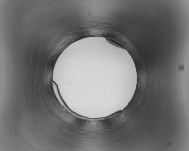 X0000110900329200907161558