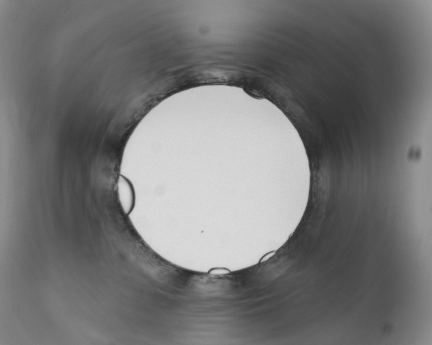 X0000110900331200907161558