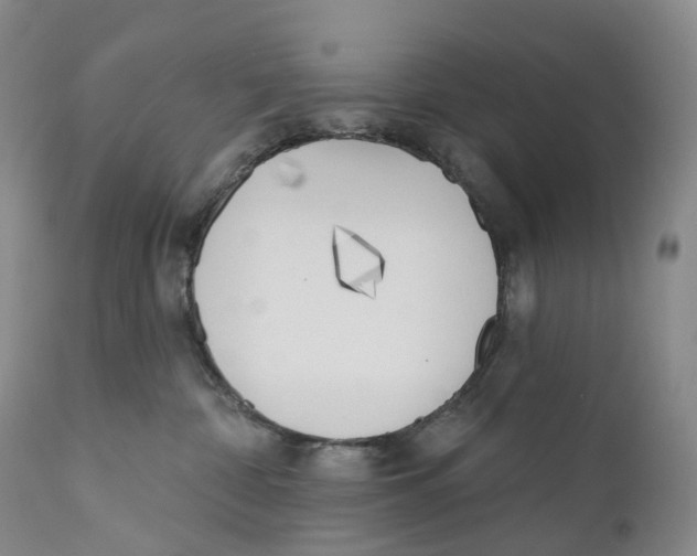 X0000110900332200907161558