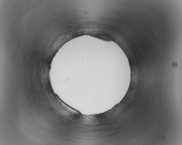 X0000110900333200907161558