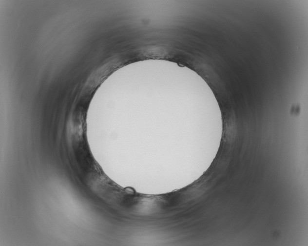 X0000110900334200907161558