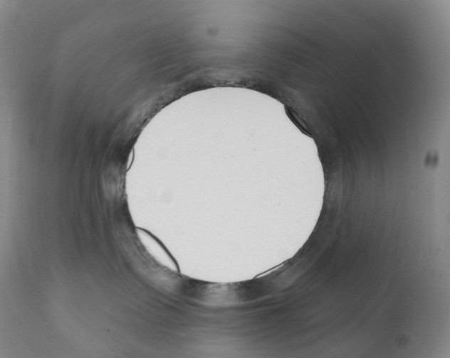 X0000110900335200907161558