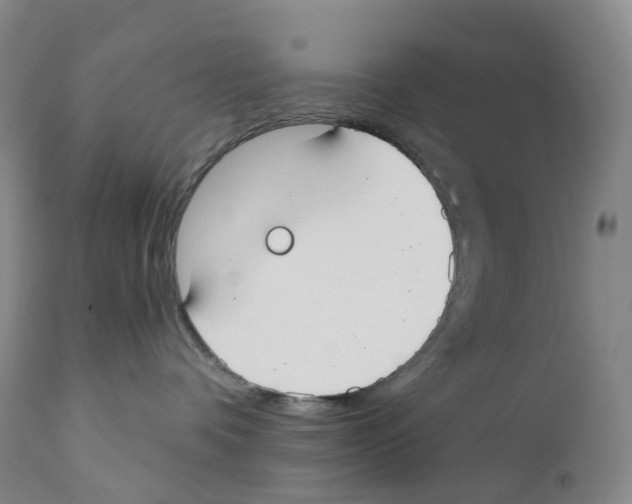 X0000110900336200907161558