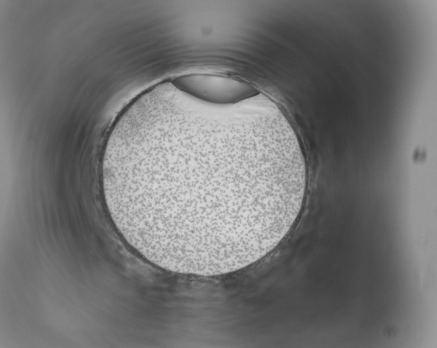 X0000110900337200907161557