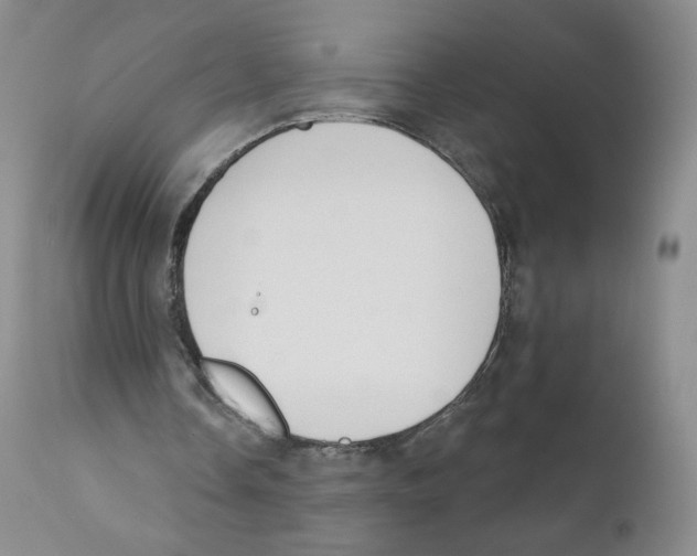 X0000110900338200907161557