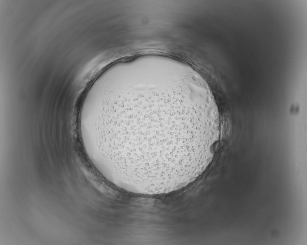 X0000110900339200907161557