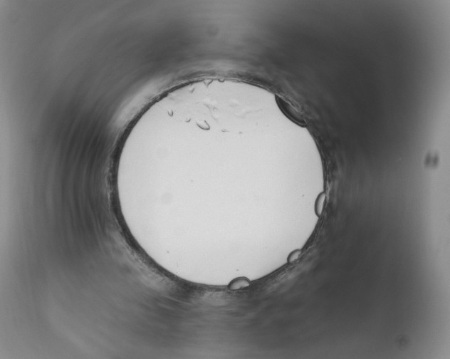 X0000110900341200907161557