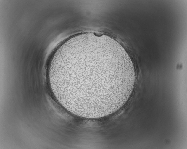 X0000110900343200907161557