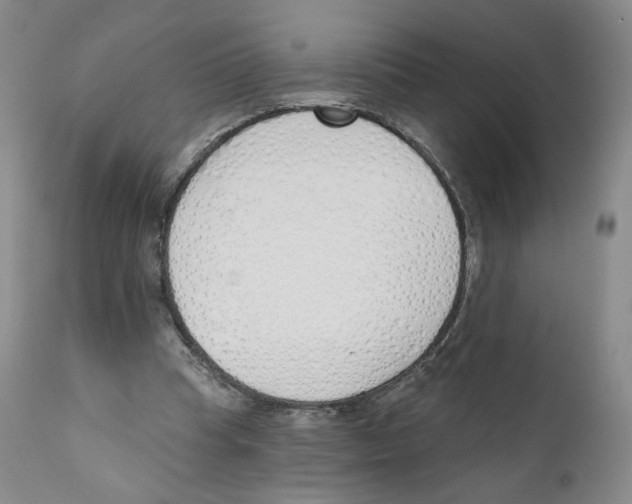 X0000110900345200907161557