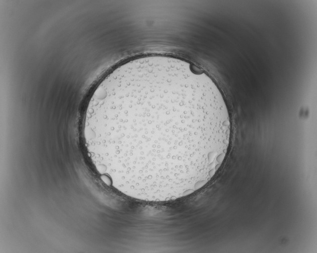 X0000110900346200907161557