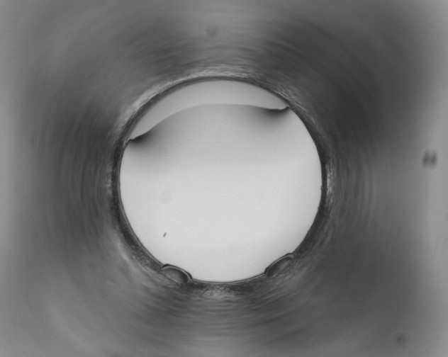 X0000110900348200907161557