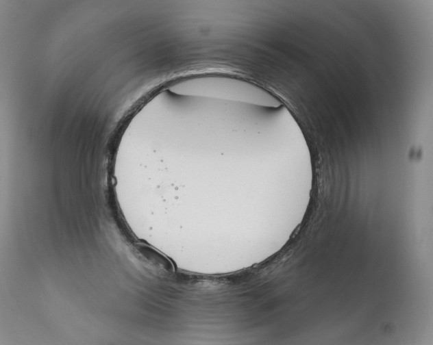 X0000110900350200907161557