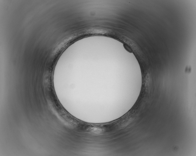 X0000110900352200907161557