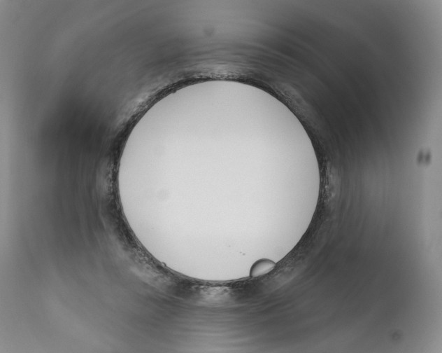 X0000110900355200907161557