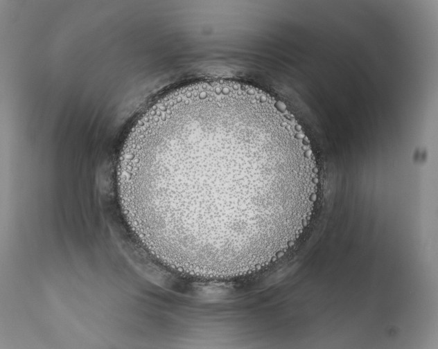 X0000110900359200907161557