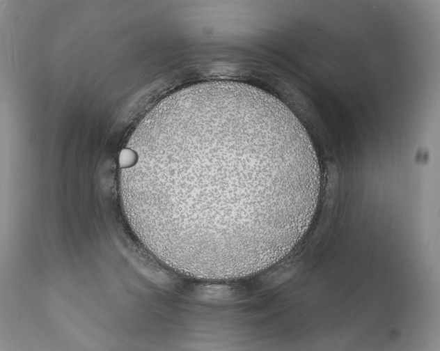 X0000110900361200907161557