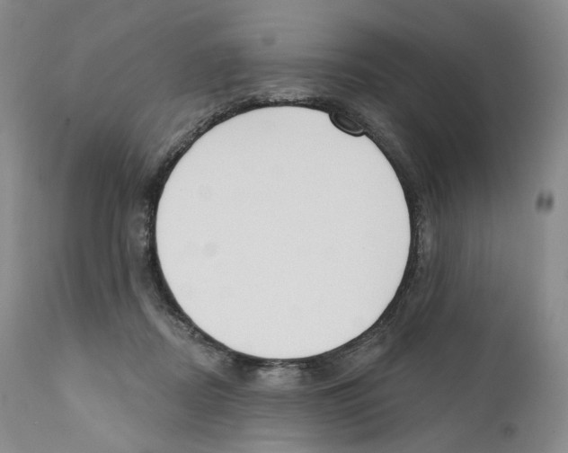 X0000110900362200907161557