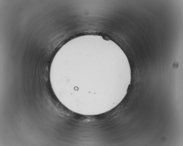 X0000110900364200907161557