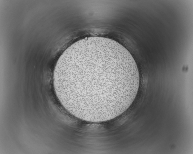 X0000110900367200907161557