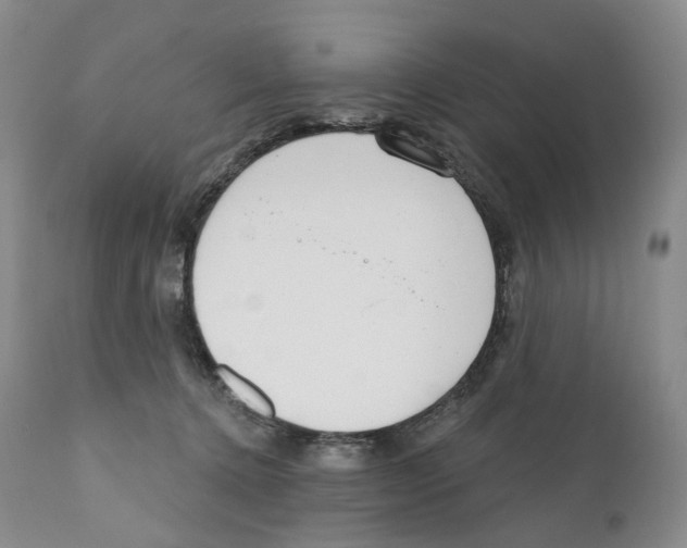 X0000110900368200907161557