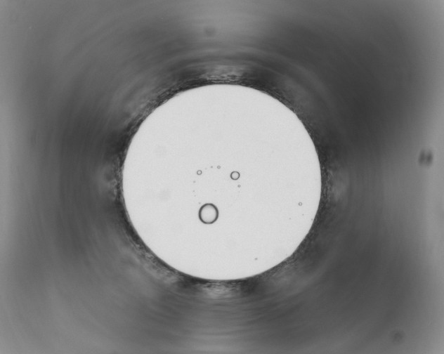 X0000110900370200907161557