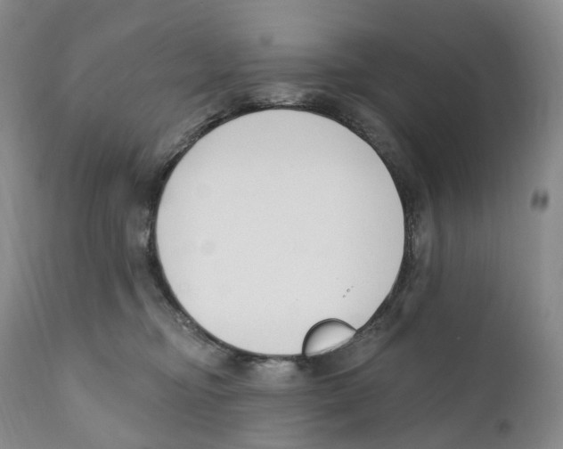 X0000110900374200907161557