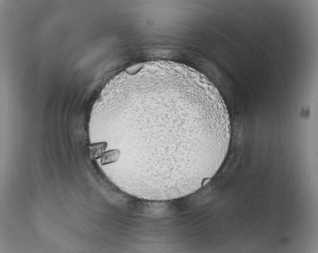 X0000110900377200907161558