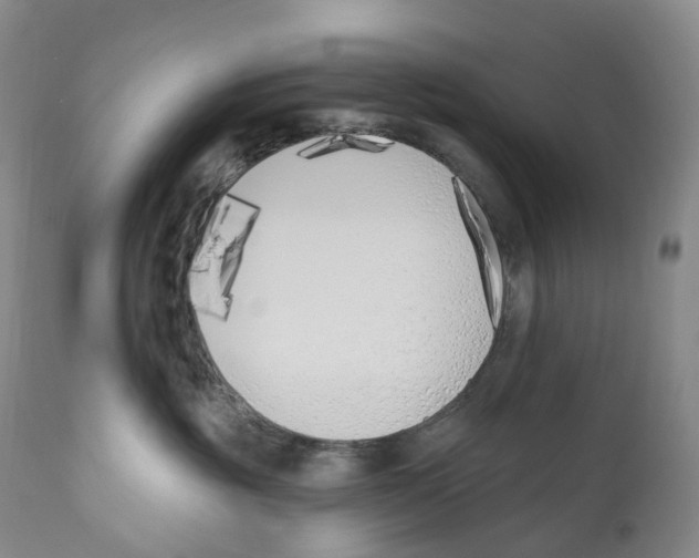 X0000110900381200907161558