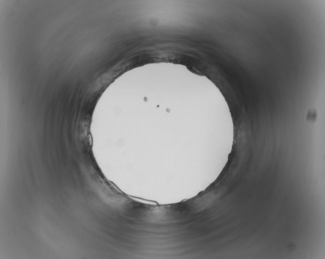 X0000110900382200907161558