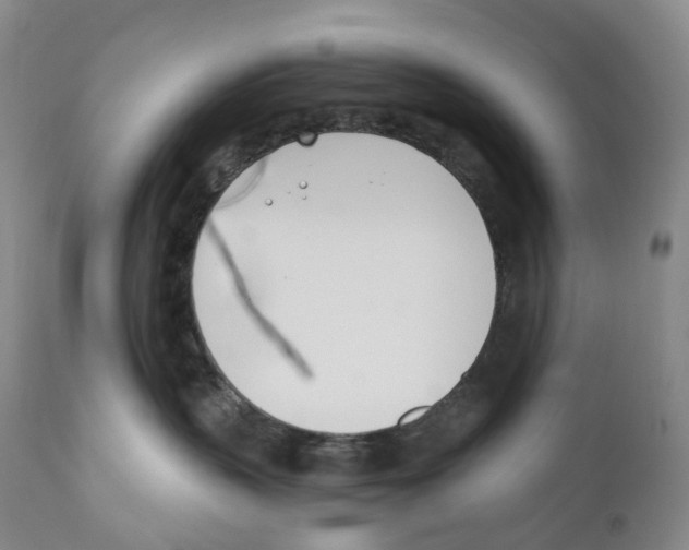 X0000110900383200907161558