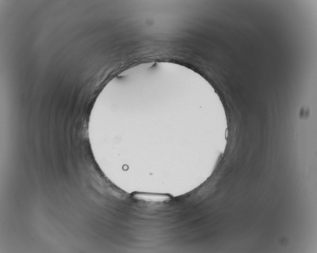 X0000110900384200907161558