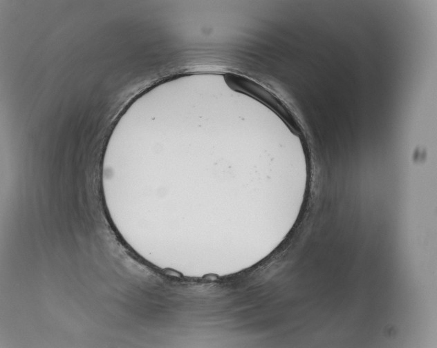 X0000110900385200907161557