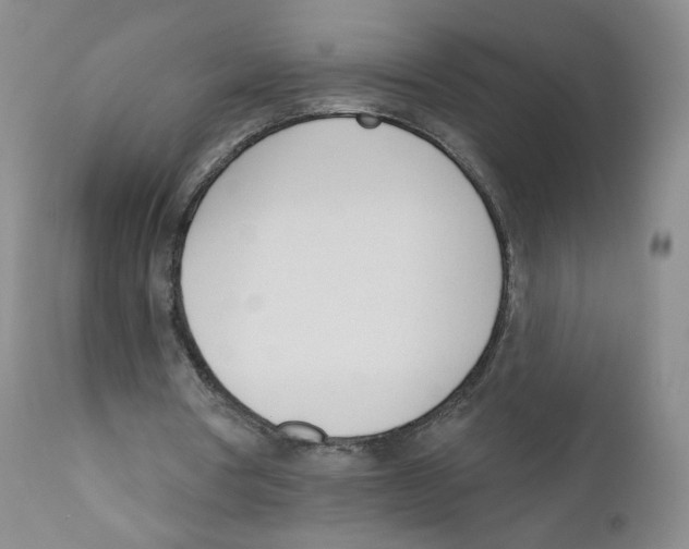 X0000110900386200907161557