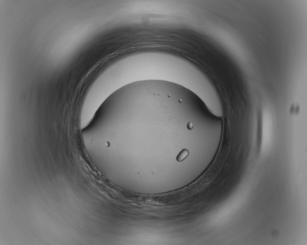 X0000110900387200907161557