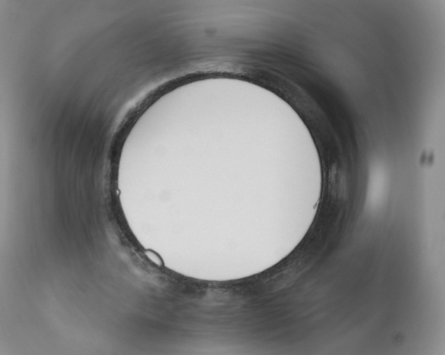 X0000110900388200907161557