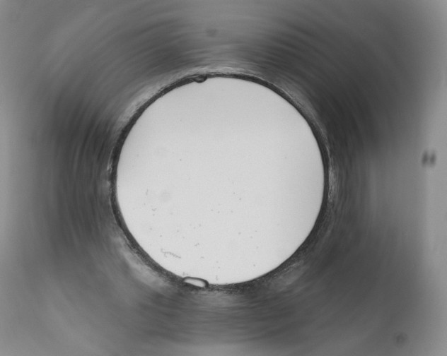 X0000110900389200907161557