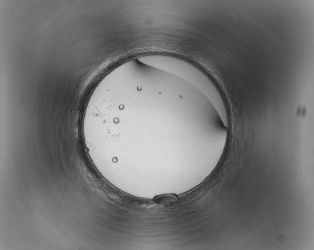 X0000110900395200907161557