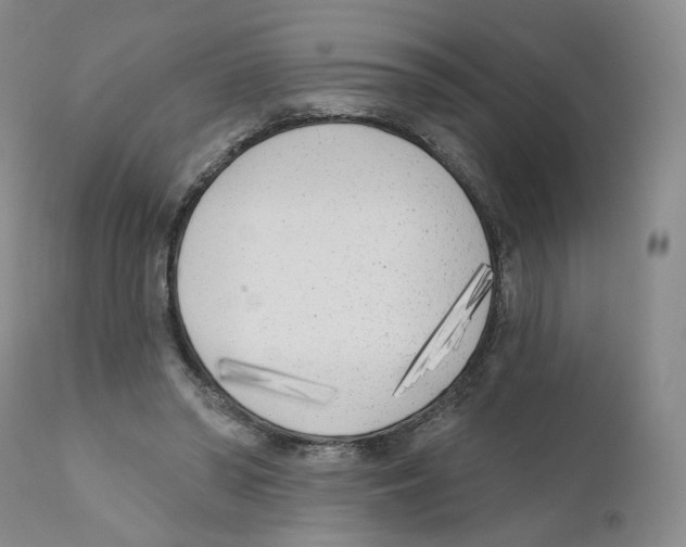 X0000110900398200907161557