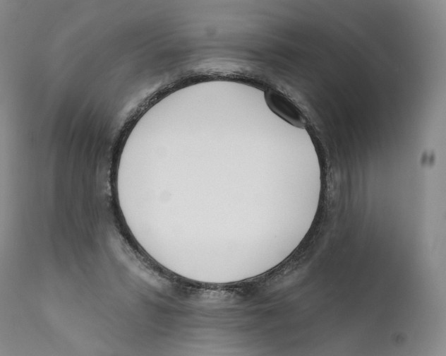 X0000110900399200907161557