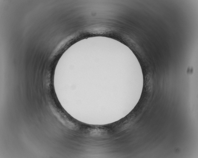 X0000110900400200907161557