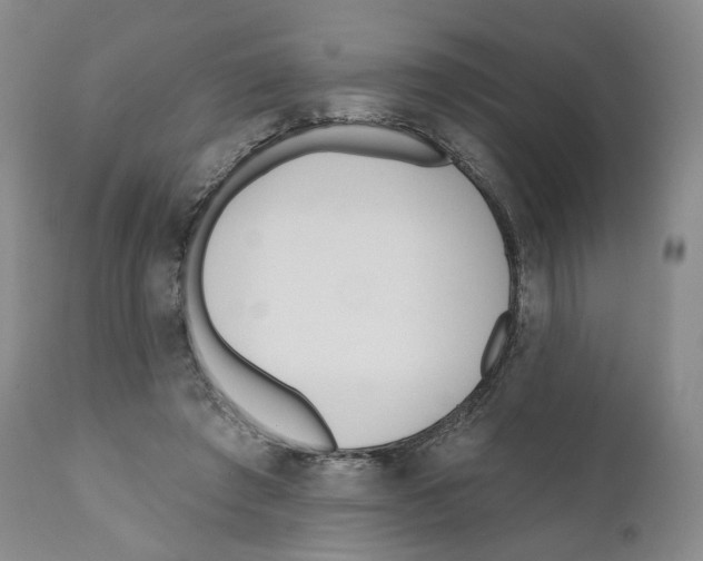 X0000110900401200907161557