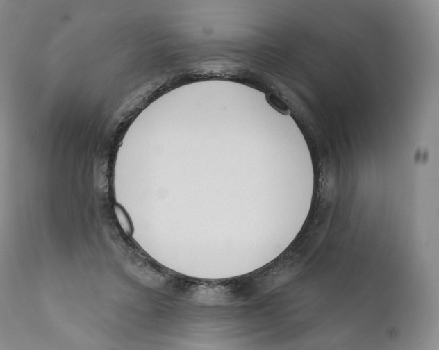 X0000110900403200907161556