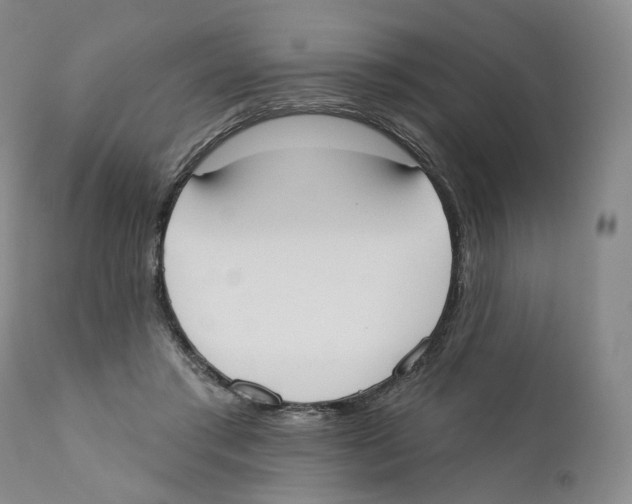 X0000110900405200907161556