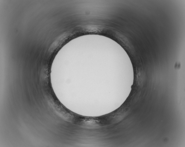 X0000110900407200907161556