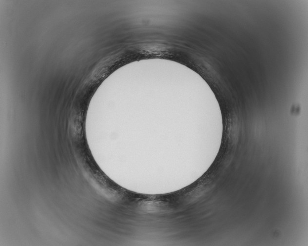 X0000110900408200907161556