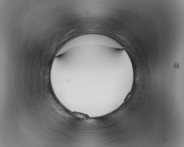 X0000110900409200907161556